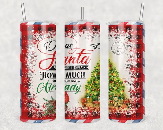 Christmas Tumbler - Dear Santa, before I explain